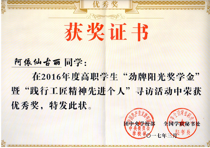 阿依仙古丽---阳光劲牌奖.jpg